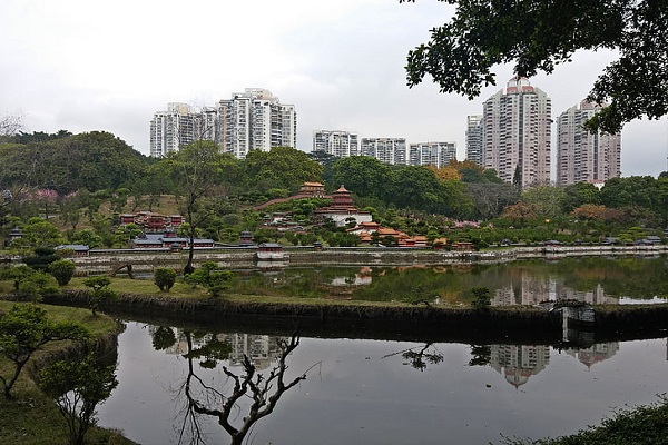 深圳专题片拍摄.jpg